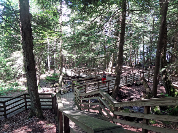 Karen Duquette on the elevated boardwalk